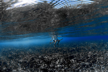 Deep Blue