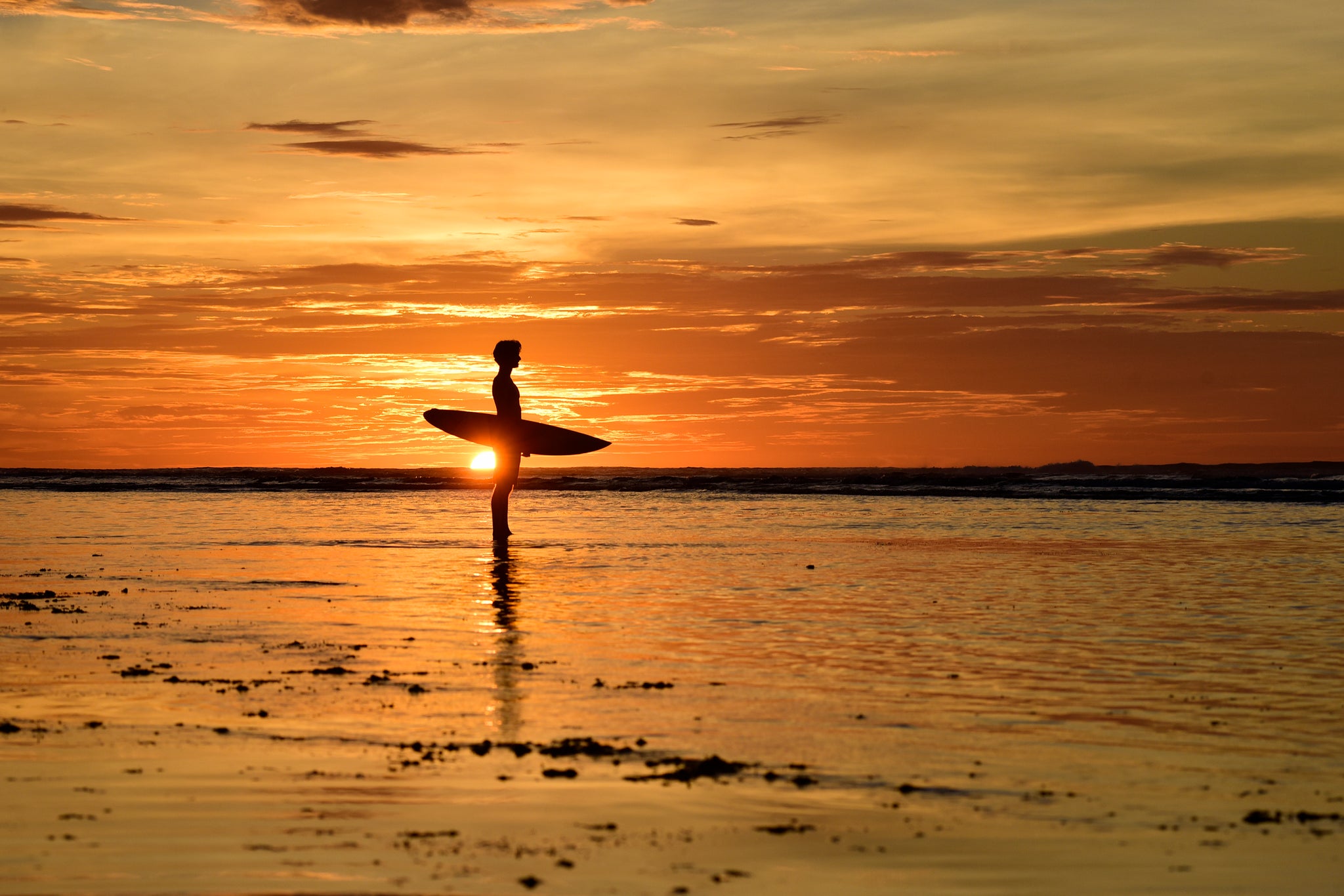 Solitário Surfista