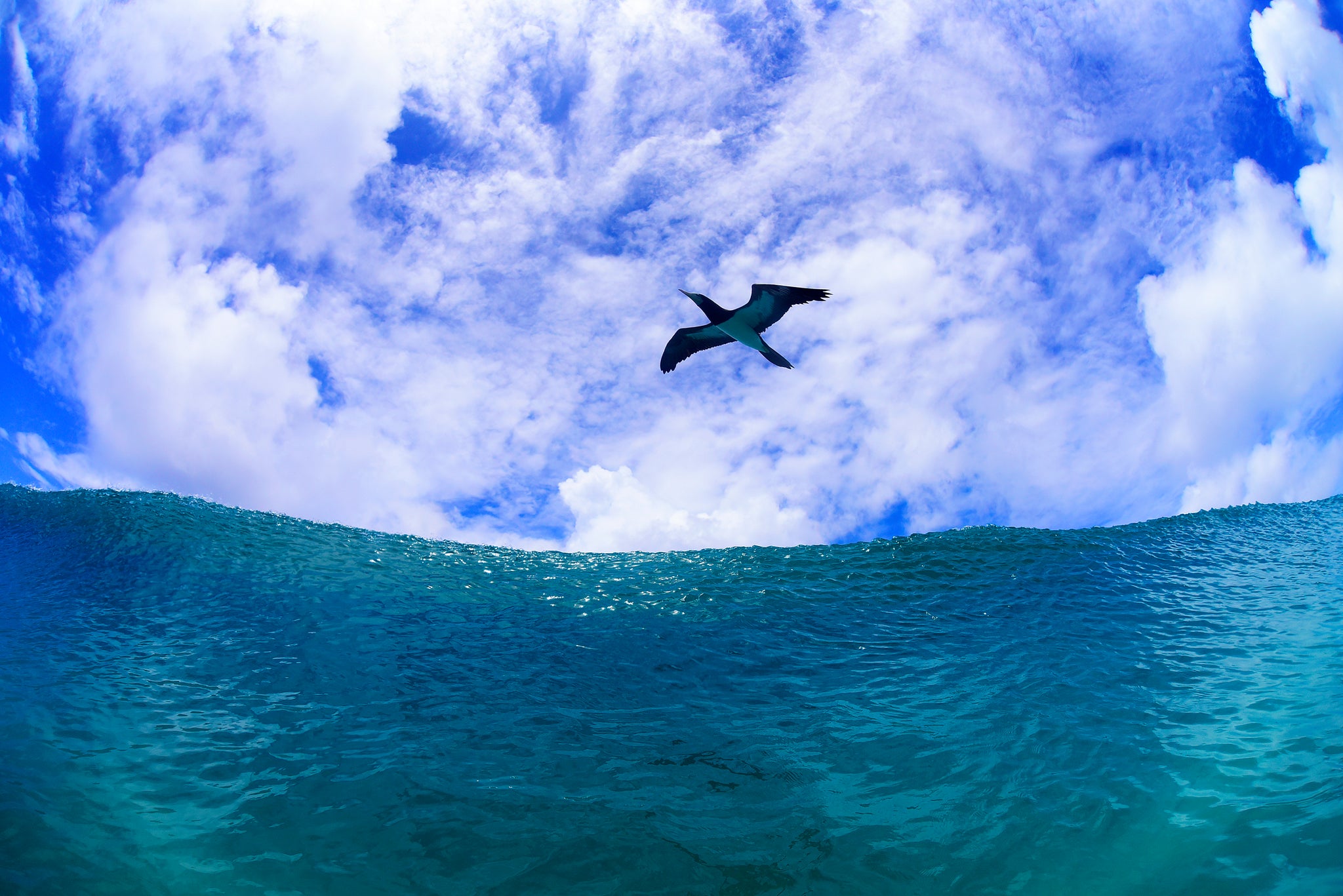 Entre Céu e Mar