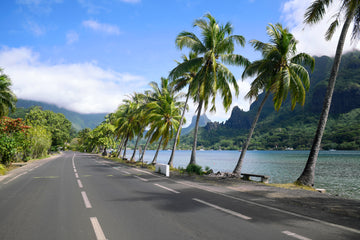 Caminho do Mar